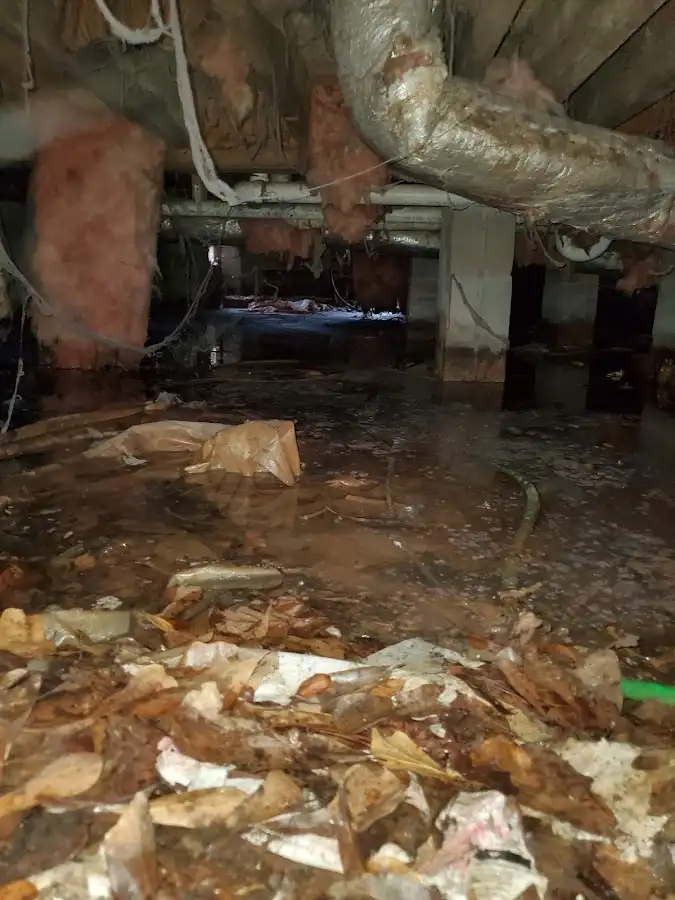 Crawl space flood assessment for Leak Detection & Repair in Riverdale