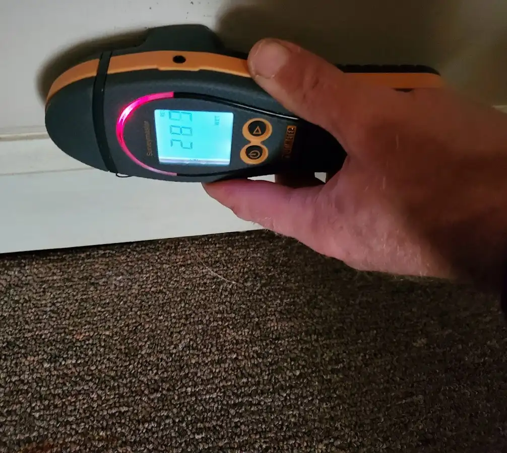 Moisture detection at baseboard during Mold Inspection & Testing in Riverdale